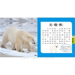 5Q益智教具-動物探險隊