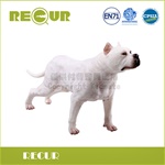 RECUR 軟質杜告犬