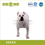 RECUR 軟質杜告犬