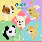 IWAYA甜甜屋蘇格蘭摺耳貓