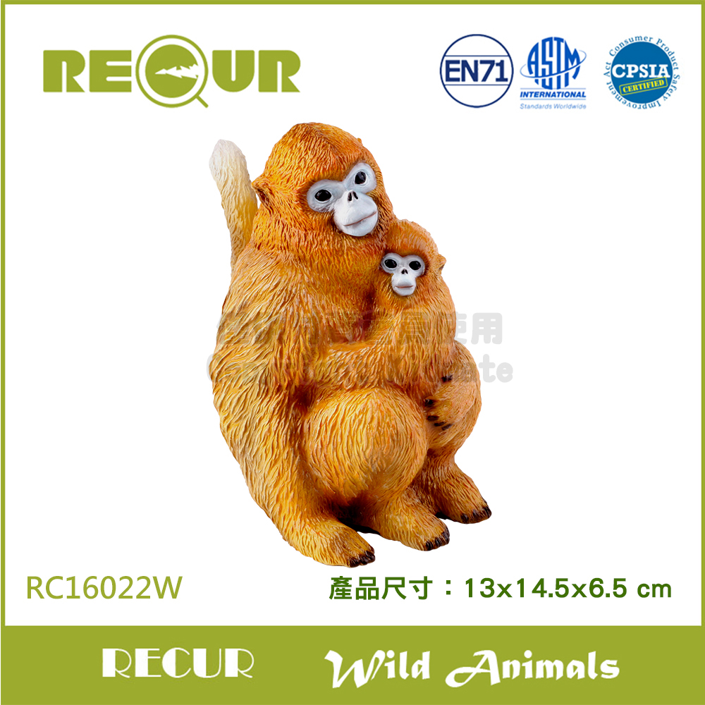 RECUR 軟質金絲猴
