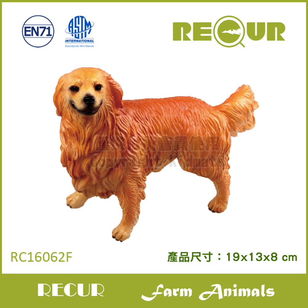 RECUR 軟質黃金獵犬