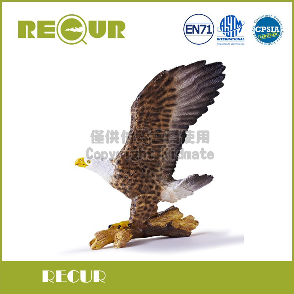 RECUR 軟質白頭海鵰