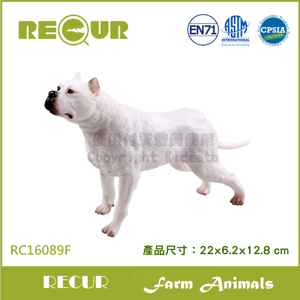 RECUR 軟質杜告犬